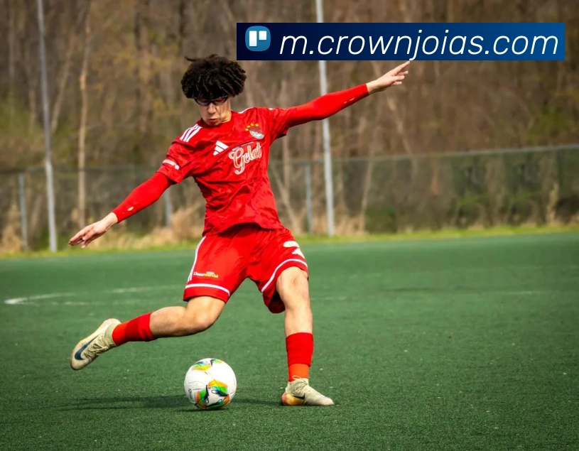 皇冠crown体育平台APP 封面图